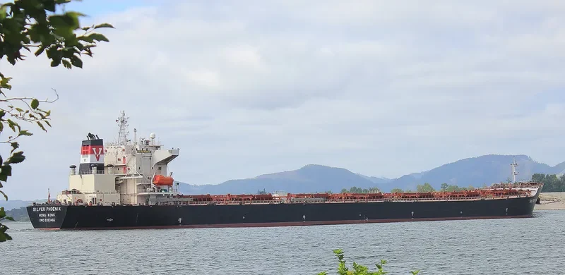 MANALAGI PRITA Bulk Carrier IMO 9363455 photo 3