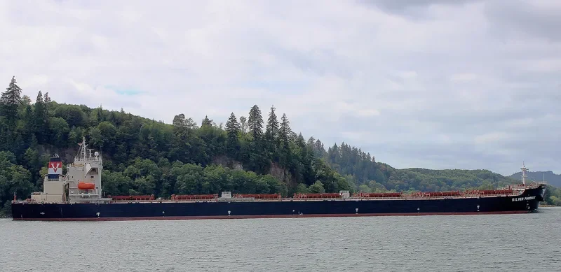 MANALAGI PRITA Bulk Carrier IMO 9363455 photo 4