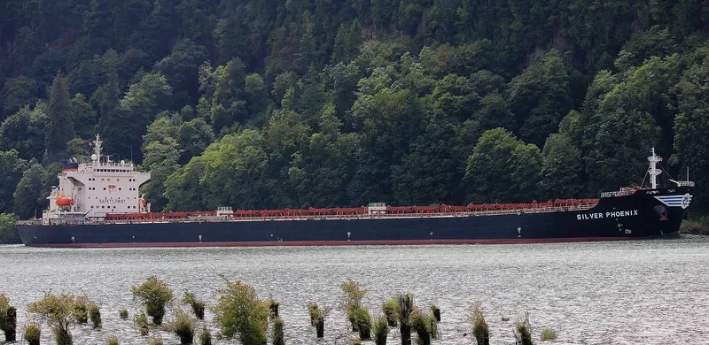 MANALAGI PRITA Bulk Carrier IMO 9363455 photo 6