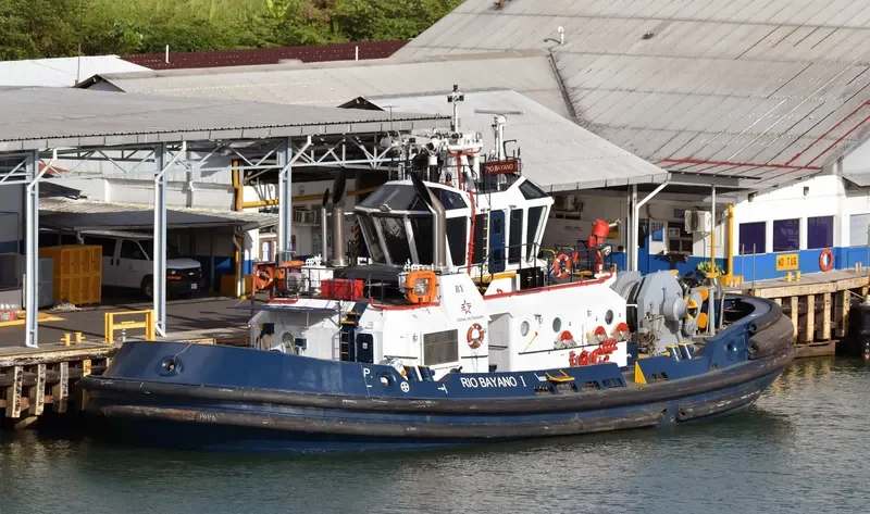 RIO BAYANO General Cargo IMO 9363613 photo 10