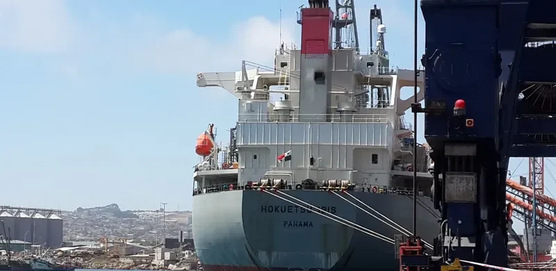 HOKUETSU IBIS Bulk Carrier IMO 9363651 photo 2