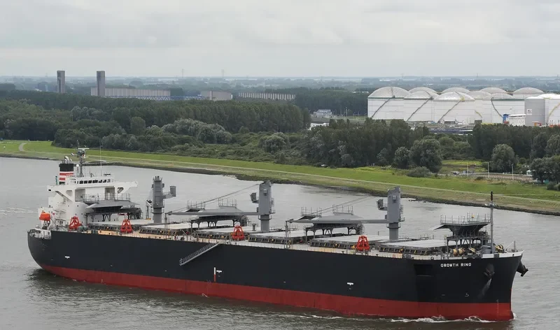 GROWTH RING Bulk Carrier IMO 9363687 photo 2