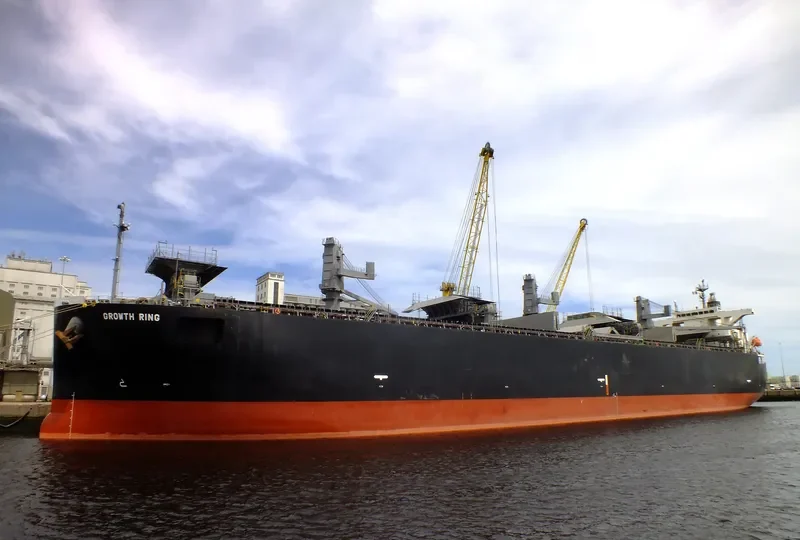 GROWTH RING Bulk Carrier IMO 9363687 photo 8