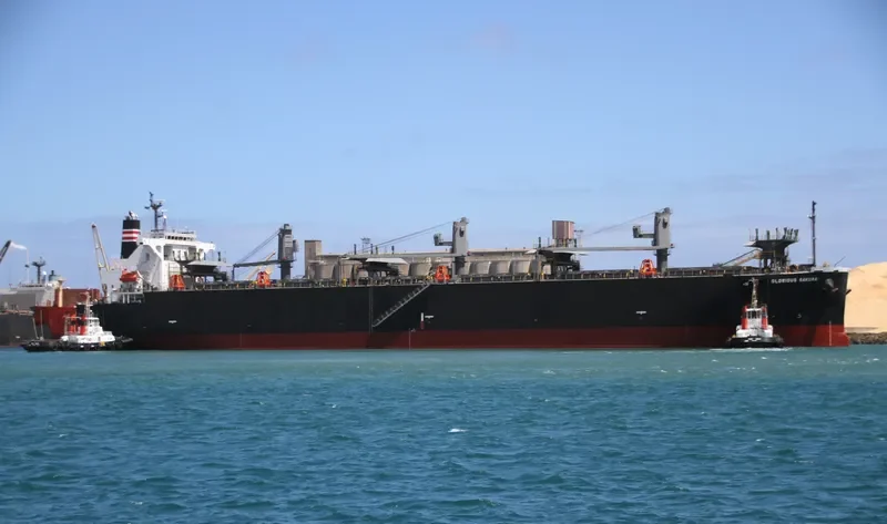 GLORIOUS SAKURA Bulk Carrier IMO 9363699 photo 4