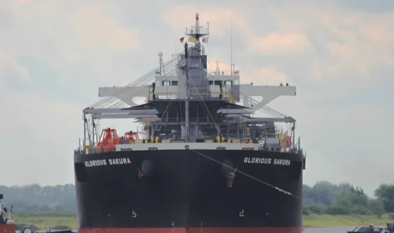 GLORIOUS SAKURA Bulk Carrier IMO 9363699 photo 8