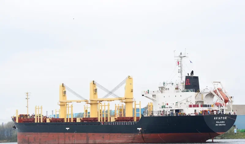 AVIATOR Bulk Carrier IMO 9363754 photo 9