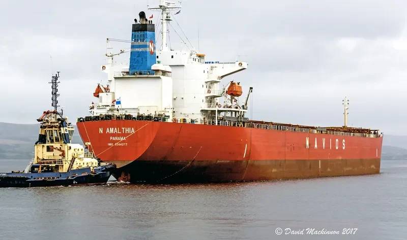 N AMALTHIA Bulk Carrier IMO 9364277 photo 6