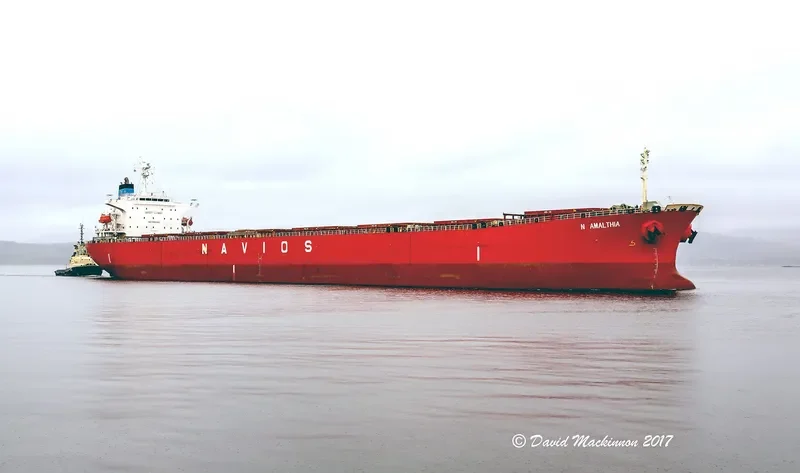 N AMALTHIA Bulk Carrier IMO 9364277 photo 7