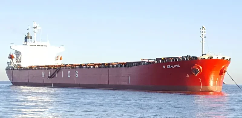 N AMALTHIA Bulk Carrier IMO 9364277 photo 9