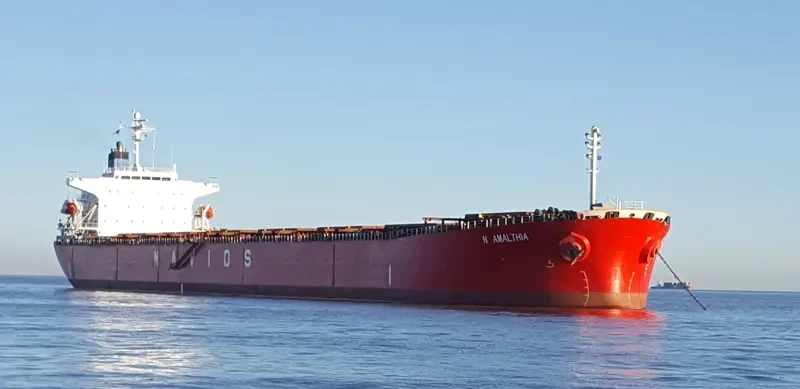 N AMALTHIA Bulk Carrier IMO 9364277 photo 10