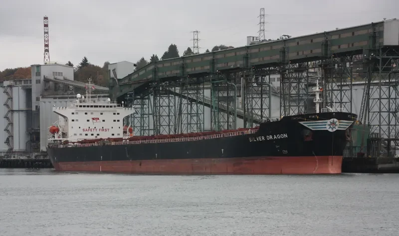 MINOAN GLORY Bulk Carrier IMO 9364447 photo 10