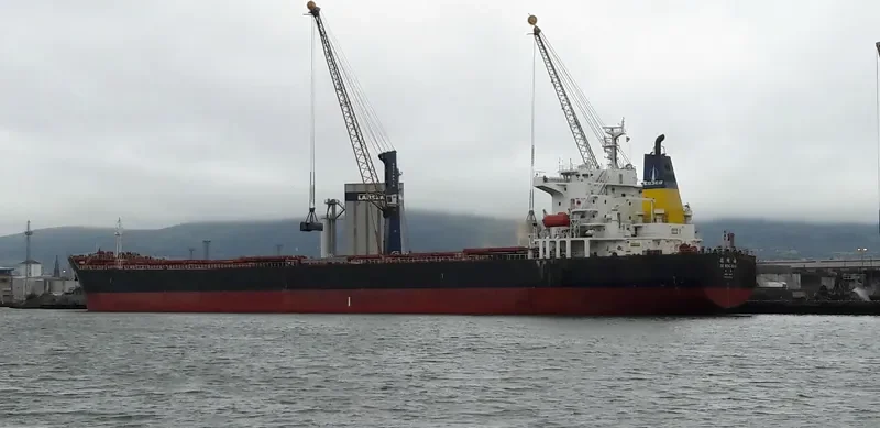 DE MING HAI Bulk Carrier IMO 9364746