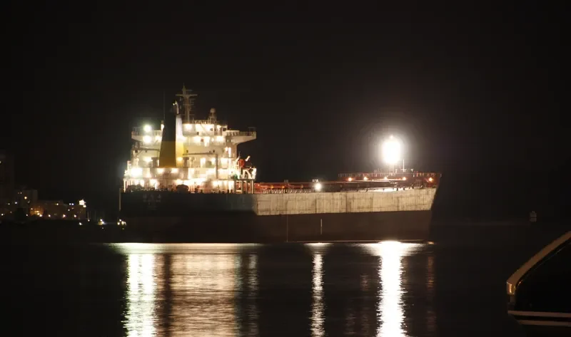 DE MING HAI Bulk Carrier IMO 9364746 photo 10