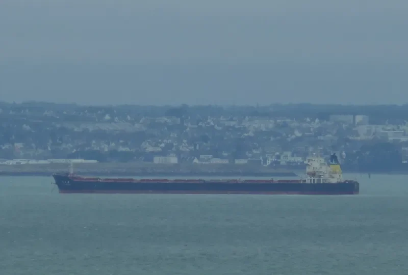 DE XIN HAI Bulk Carrier IMO 9364758 photo 3