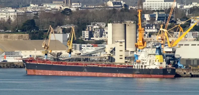 DE XIN HAI Bulk Carrier IMO 9364758 photo 4