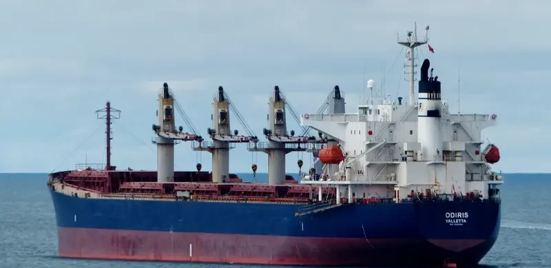 CAPTAIN D LEMPESIS Bulk Carrier IMO 9364801 photo 6
