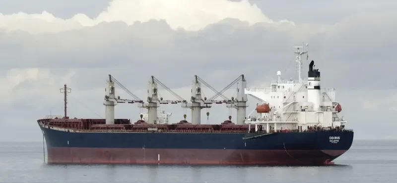 CAPTAIN D LEMPESIS Bulk Carrier IMO 9364801 photo 7
