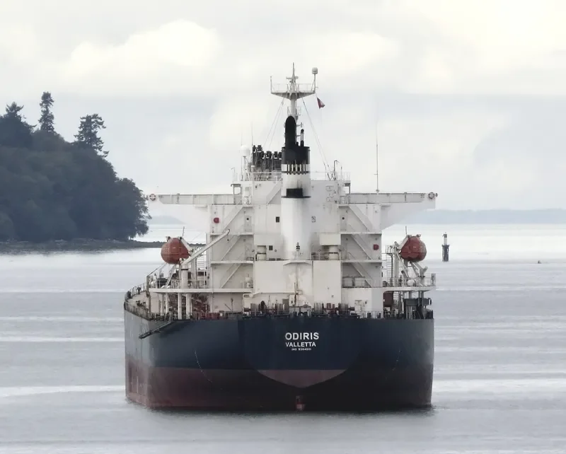 CAPTAIN D LEMPESIS Bulk Carrier IMO 9364801 photo 8