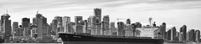 MING XING HAI Bulk Carrier IMO 9364813 photo 2