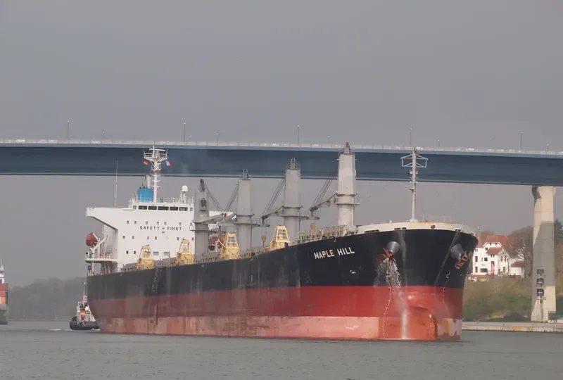 MING XING HAI Bulk Carrier IMO 9364813 photo 7