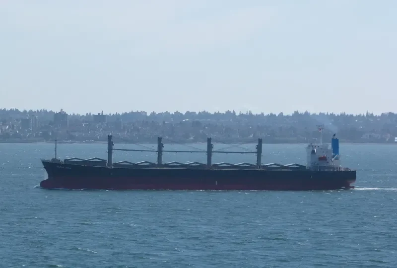 MING XING HAI Bulk Carrier IMO 9364813 photo 10