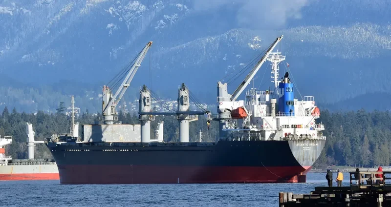 CANOPUS Bulk Carrier IMO 9364837 photo 2