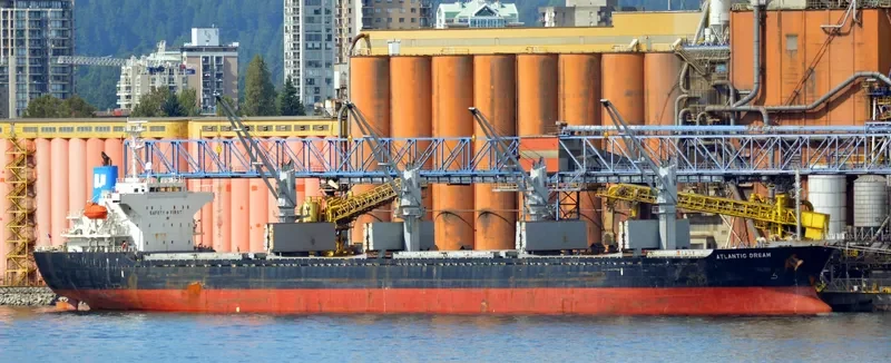CANOPUS Bulk Carrier IMO 9364837 photo 5