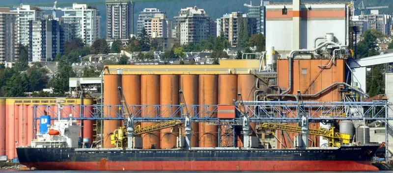 CANOPUS Bulk Carrier IMO 9364837 photo 6