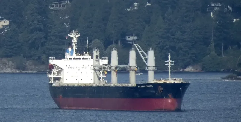 CANOPUS Bulk Carrier IMO 9364837 photo 7