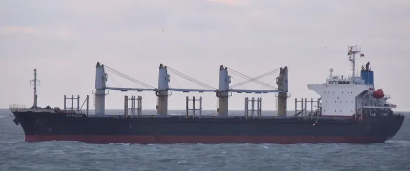 ANEMOS Bulk Carrier IMO 9364849