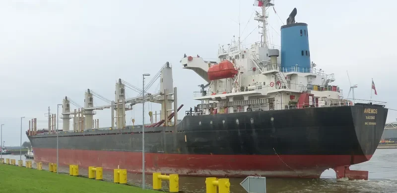 ANEMOS Bulk Carrier IMO 9364849 photo 8