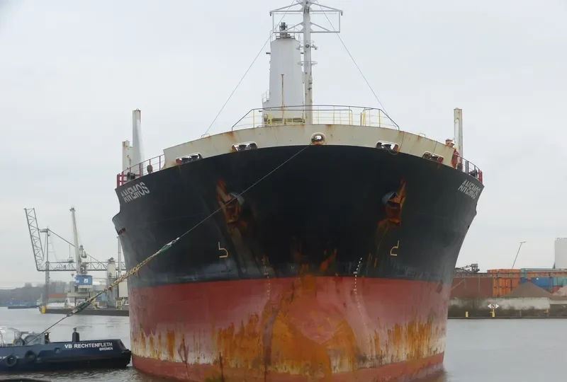 ANEMOS Bulk Carrier IMO 9364849 photo 9