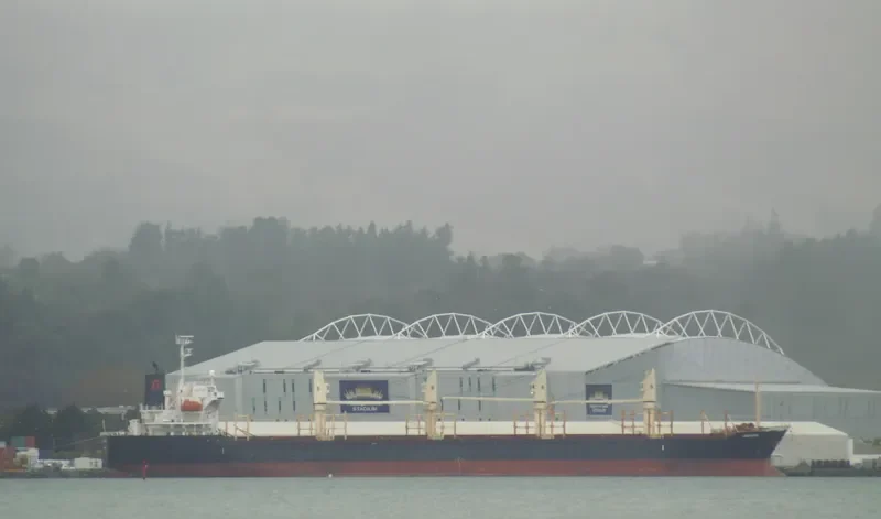 LIBERATOR Bulk Carrier IMO 9364851