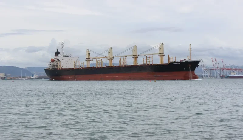 LIBERATOR Bulk Carrier IMO 9364851 photo 6