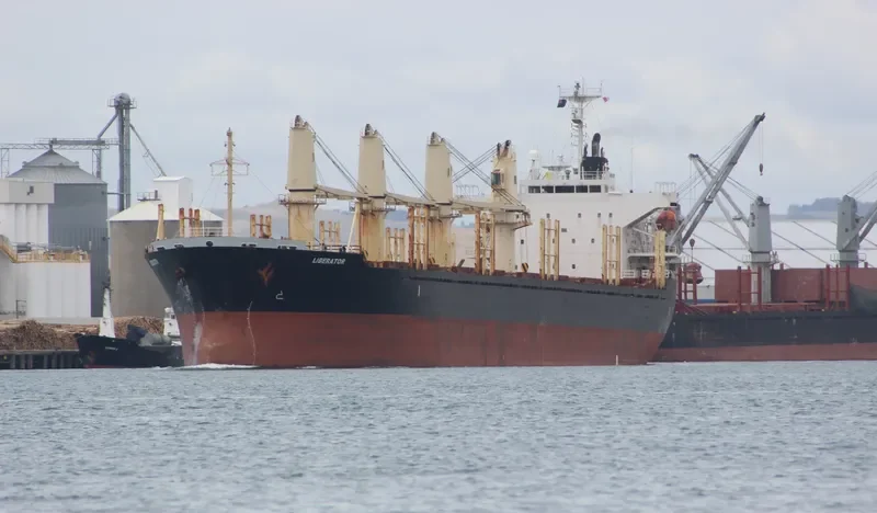 LIBERATOR Bulk Carrier IMO 9364851 photo 7
