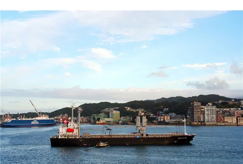 SEIYO HONOR General Cargo IMO 9364887