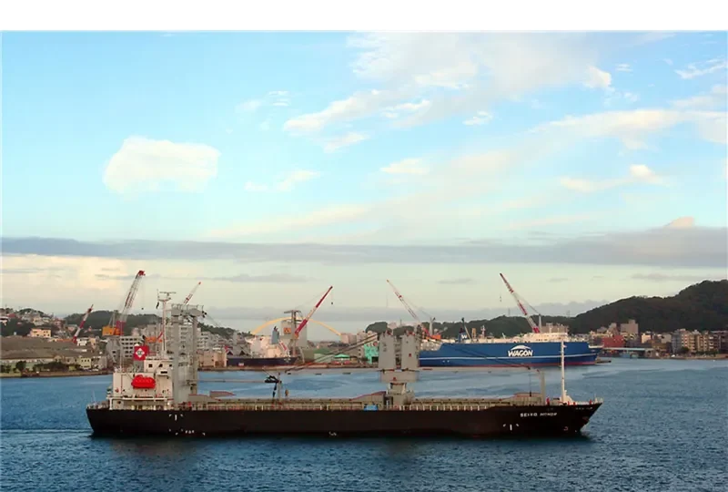 SEIYO HONOR General Cargo IMO 9364887 photo 4
