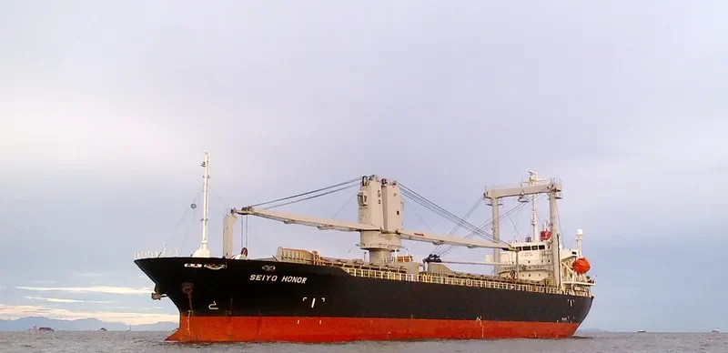 SEIYO HONOR General Cargo IMO 9364887 photo 8