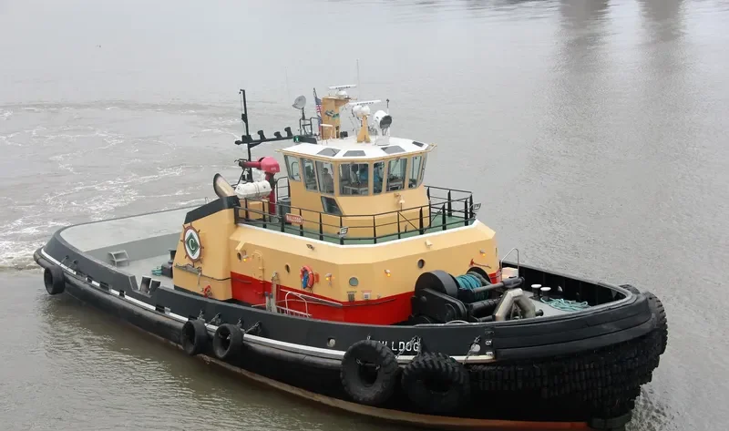 BULL DOG General Cargo IMO 9365324 photo 10