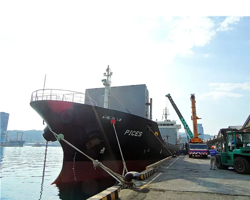 PICES General Cargo IMO 9365439 photo 6