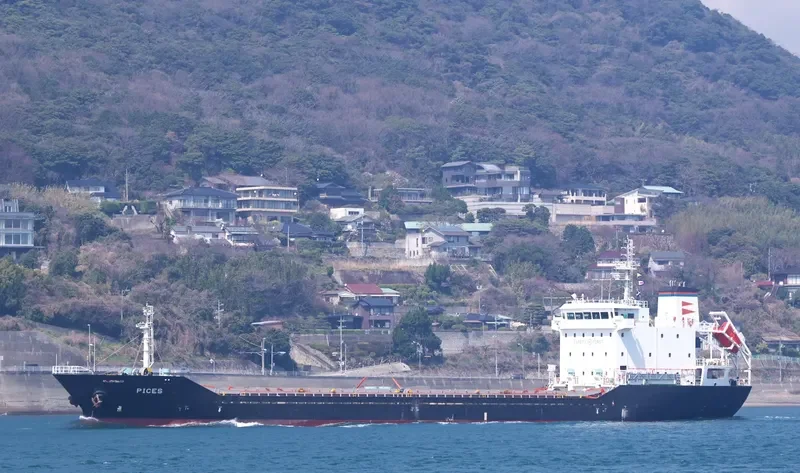 PICES General Cargo IMO 9365439 photo 10