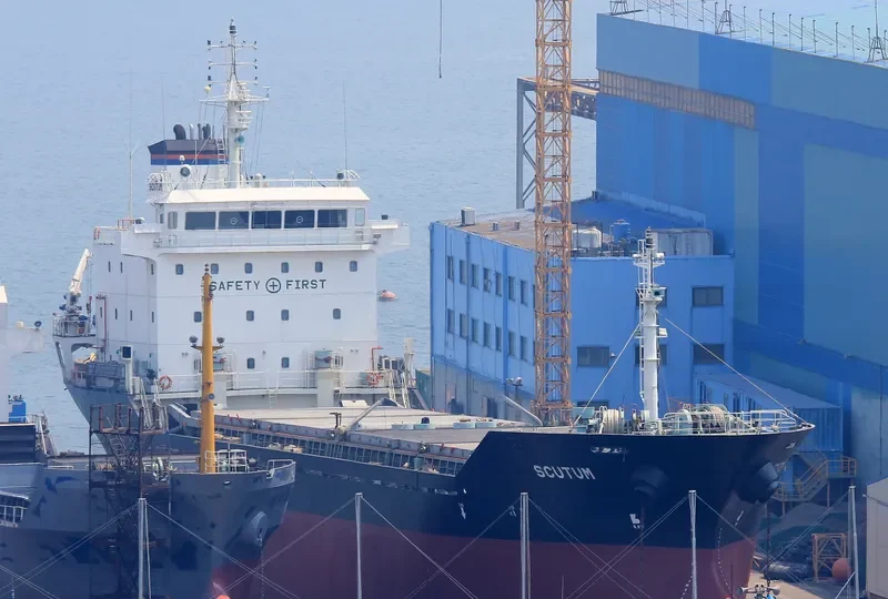 SCUTUM General Cargo IMO 9365441 photo 5