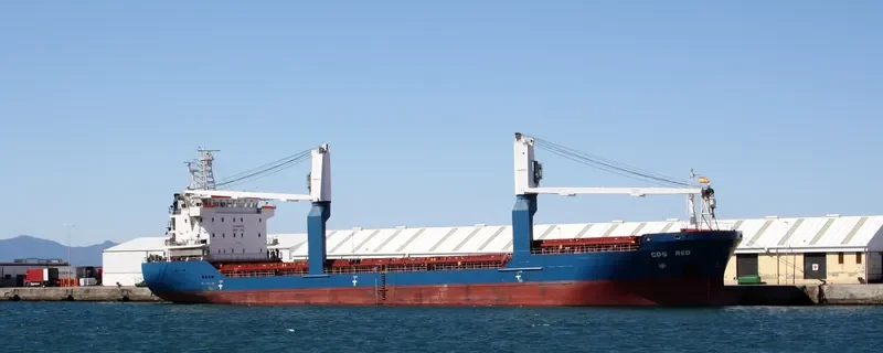 SDS RED General Cargo IMO 9365518 photo 8