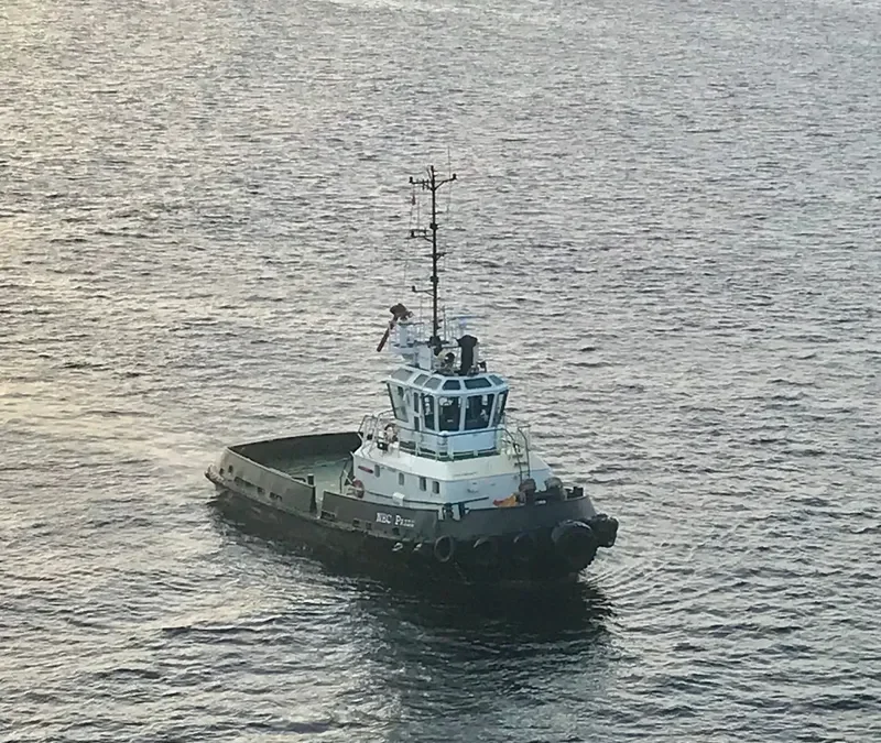 NEC PRIDE General Cargo IMO 9366627 photo 2