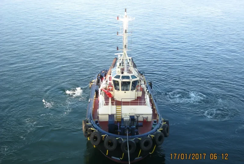 SVITZER WARANG General Cargo IMO 9366689 photo 3