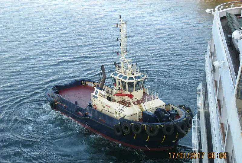 SVITZER WARANG General Cargo IMO 9366689 photo 4