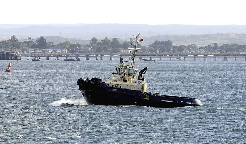 SVITZER WARANG General Cargo IMO 9366689 photo 7