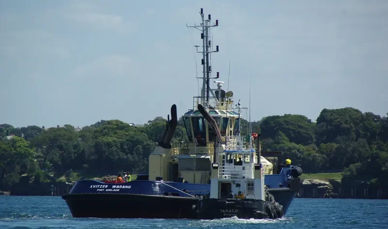 SVITZER WARANG General Cargo IMO 9366689 photo 10