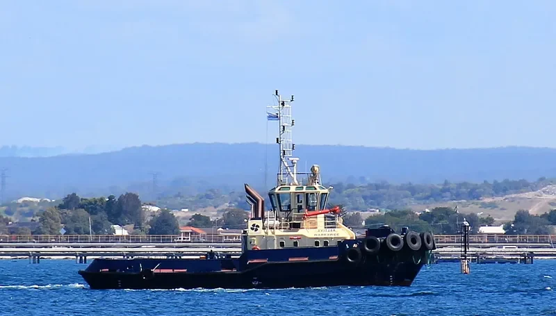SVITZER WARRAWEE General Cargo IMO 9366691 photo 8