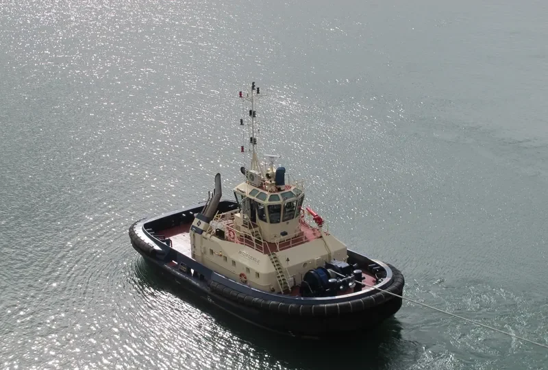 SVITZER COLMSLIE General Cargo IMO 9366885 photo 7